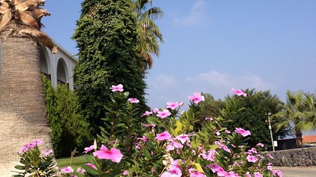 Onar Village Kyrenia  Amenities photo